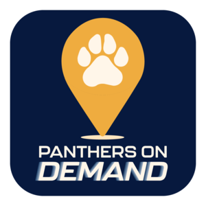 Panthers On Demand Logo