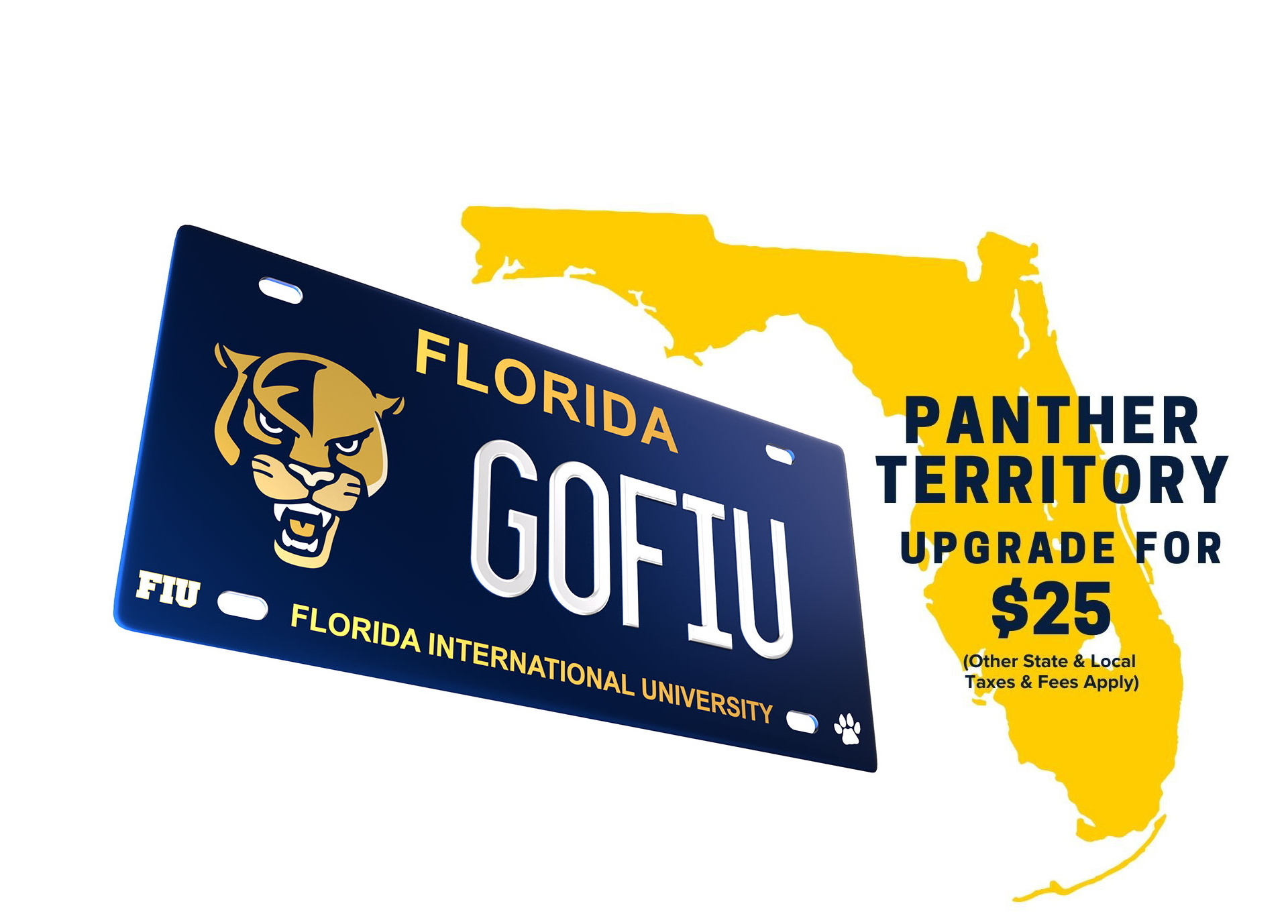 License Plate Presentation